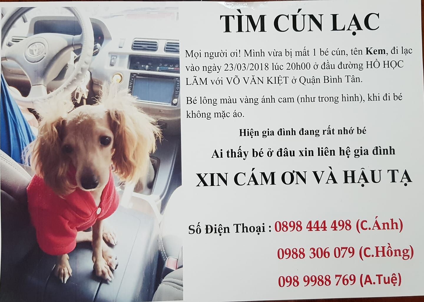 Số phận các em thú cưng sau vụ hỏa hoạn ở chung cư Carina? Số phận các em thú cưng sau vụ hỏa hoạn ở chung cư Carina?