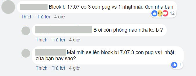 Số phận các em thú cưng sau vụ hỏa hoạn ở chung cư Carina? Số phận các em thú cưng sau vụ hỏa hoạn ở chung cư Carina?