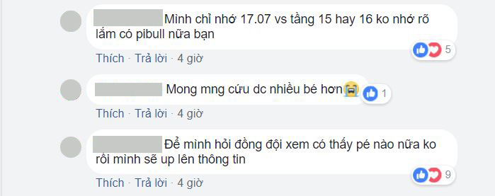 Số phận các em thú cưng sau vụ hỏa hoạn ở chung cư Carina? Số phận các em thú cưng sau vụ hỏa hoạn ở chung cư Carina?