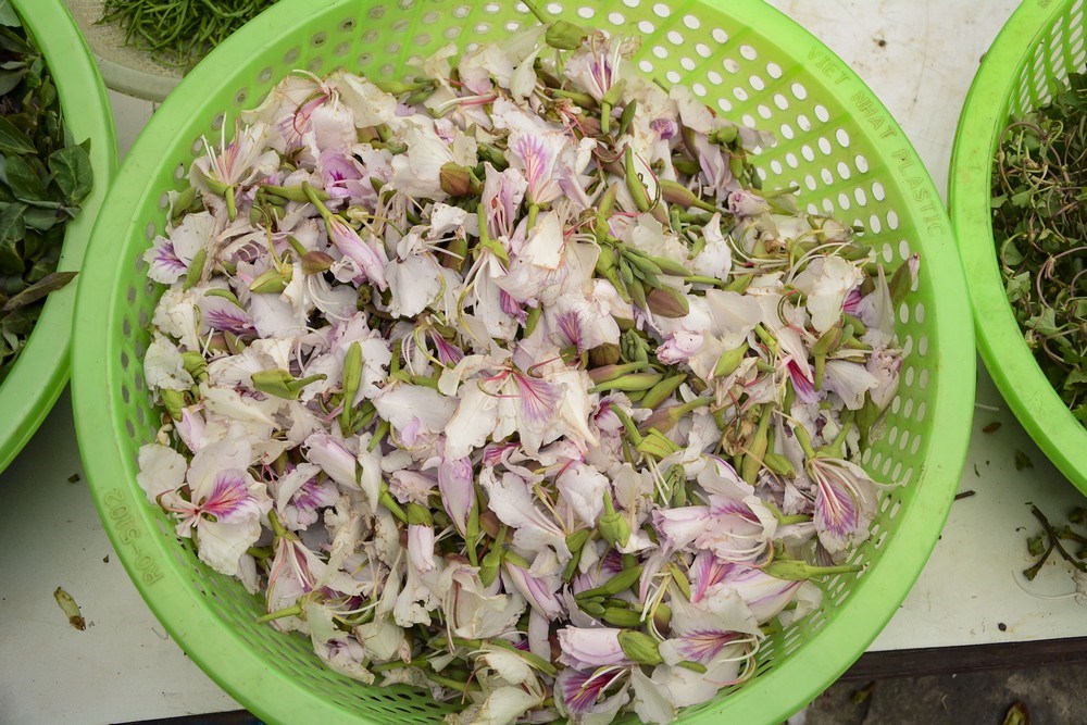 Loạt đặc sản độc lạ ít người biết của núi rừng Tây Bắc mà có tiền cũng chưa chắc mua được Loạt đặc sản độc lạ ít người biết của núi rừng Tây Bắc mà có tiền cũng chưa chắc mua được