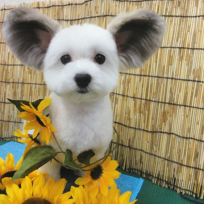Cô chó có đôi tai hệt như chuột Mickey siêu đáng yêu 'đánh cắp' trái tim hàng triệu người Cô chó có đôi tai hệt như chuột Mickey siêu đáng yêu 'đánh cắp' trái tim hàng triệu người