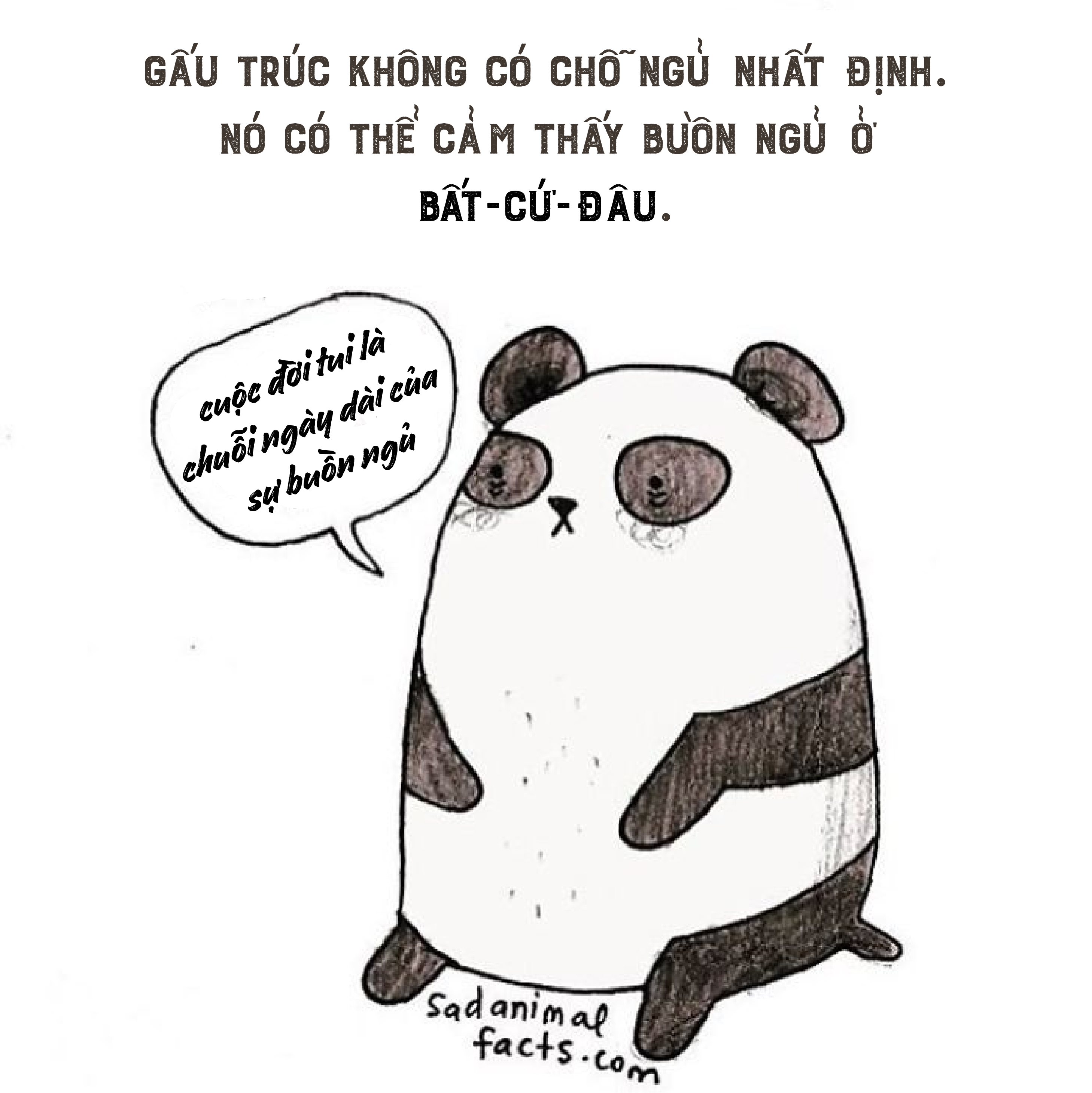 Bộ tranh: 25+ sự thật 'nghiệt ngã' về động vật mà bạn chưa chắc đã biết (P1) Bộ tranh: 25+ sự thật 'nghiệt ngã' về động vật mà bạn chưa chắc đã biết (P1)