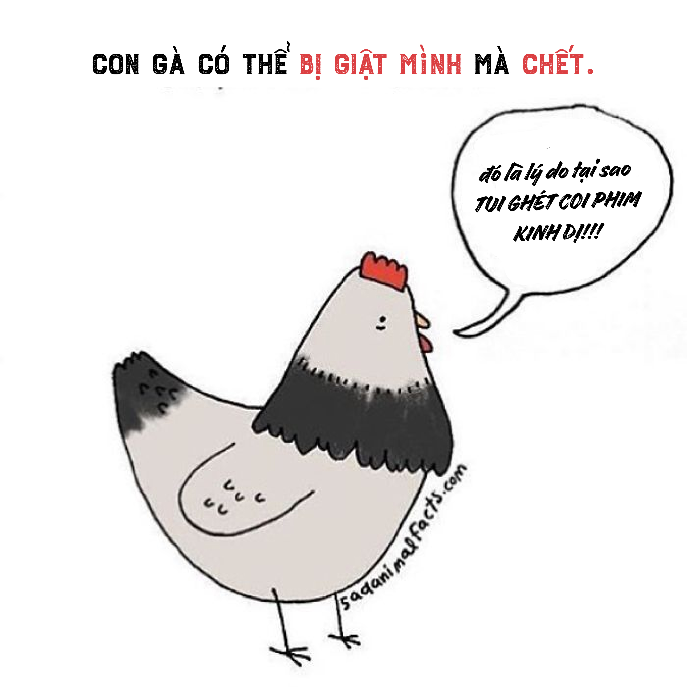 Bộ tranh: 25+ sự thật 'nghiệt ngã' về động vật mà bạn chưa chắc đã biết (P1) Bộ tranh: 25+ sự thật 'nghiệt ngã' về động vật mà bạn chưa chắc đã biết (P1)