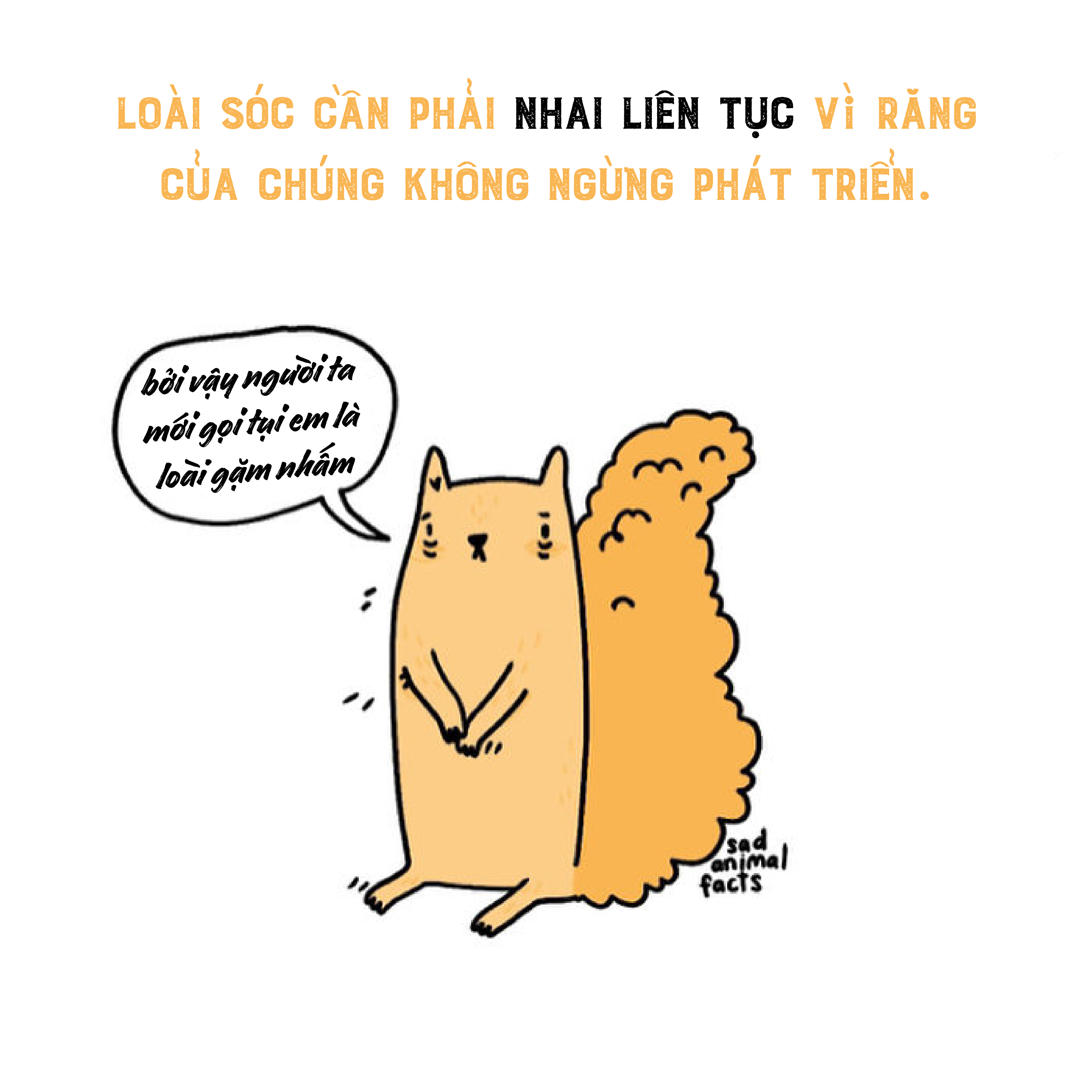 Bộ tranh: 25+ sự thật 'nghiệt ngã' về động vật mà bạn chưa chắc đã biết (P1) Bộ tranh: 25+ sự thật 'nghiệt ngã' về động vật mà bạn chưa chắc đã biết (P1)
