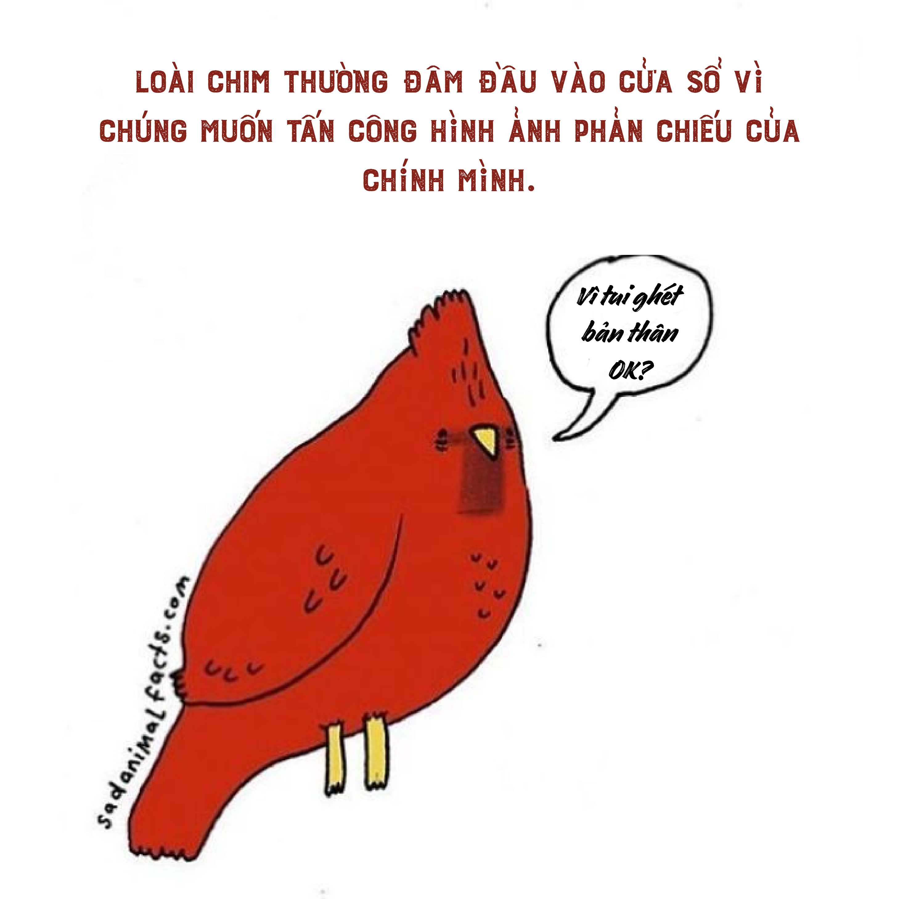 Bộ tranh: 25+ sự thật 'nghiệt ngã' về động vật mà bạn chưa chắc đã biết (P1) Bộ tranh: 25+ sự thật 'nghiệt ngã' về động vật mà bạn chưa chắc đã biết (P1)