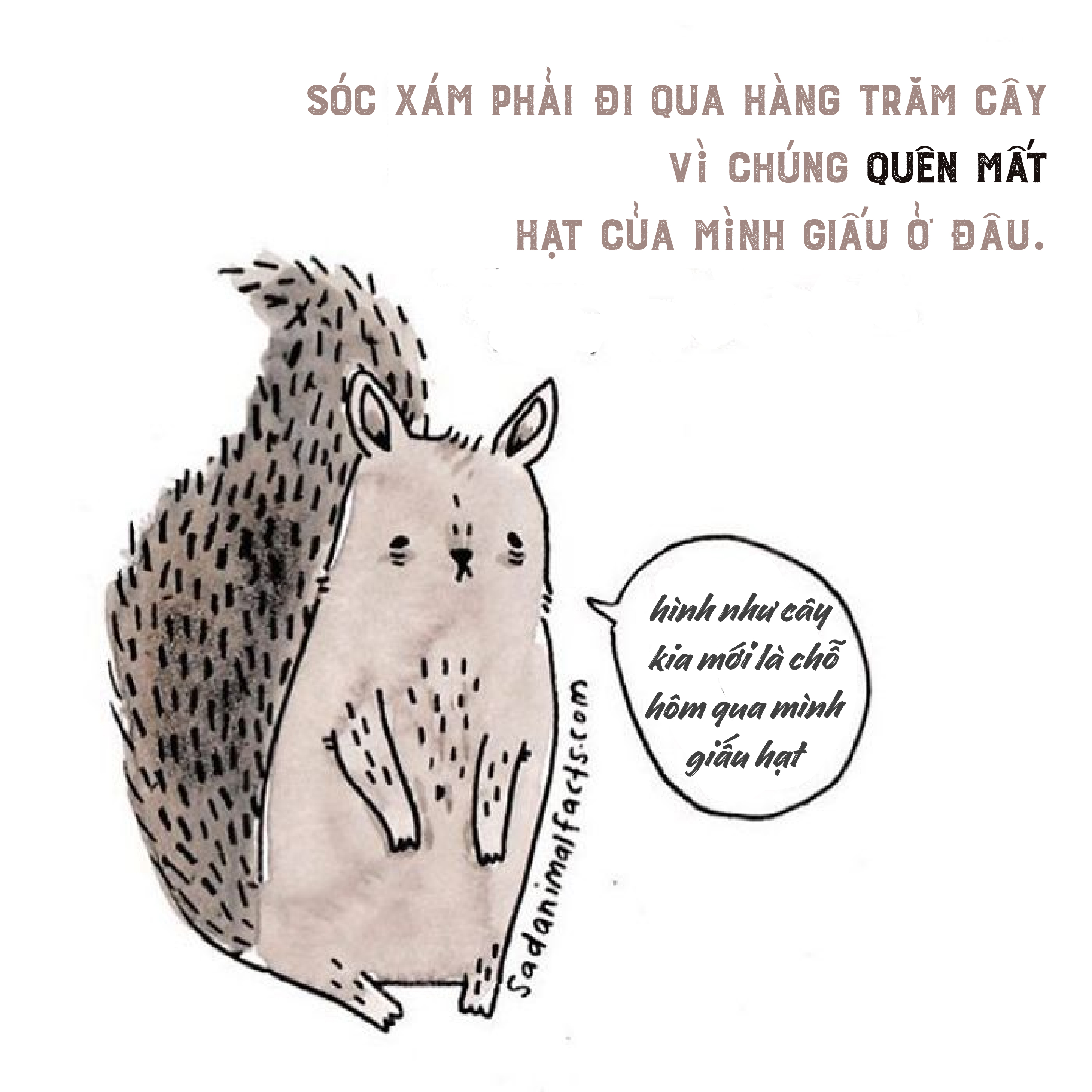 Bộ tranh: 25+ sự thật 'nghiệt ngã' về động vật mà bạn chưa chắc đã biết (P1) Bộ tranh: 25+ sự thật 'nghiệt ngã' về động vật mà bạn chưa chắc đã biết (P1)