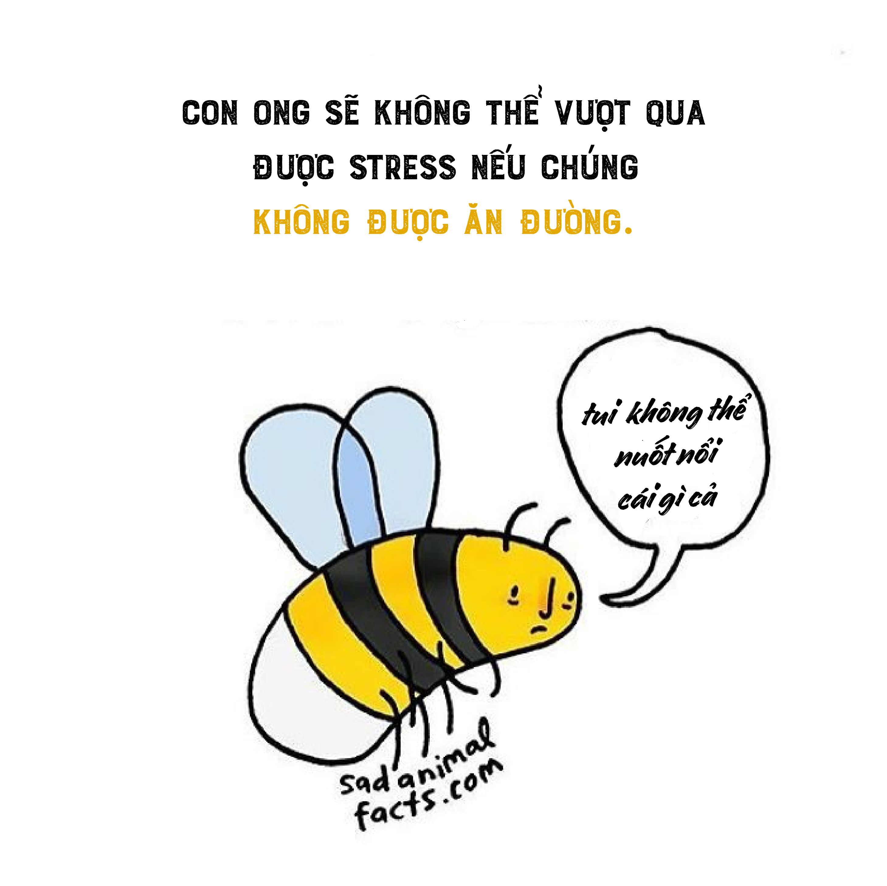 Bộ tranh: 25+ sự thật 'nghiệt ngã' về động vật mà bạn chưa chắc đã biết (P1) Bộ tranh: 25+ sự thật 'nghiệt ngã' về động vật mà bạn chưa chắc đã biết (P1)