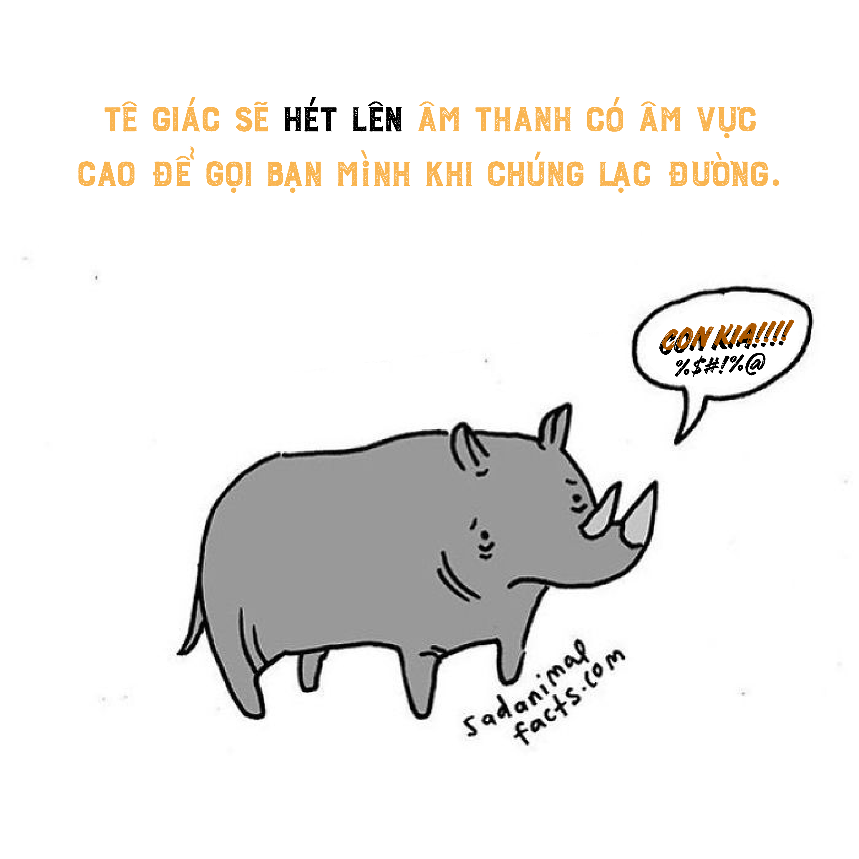 Bộ tranh: 25+ sự thật 'nghiệt ngã' về động vật mà bạn chưa chắc đã biết (P1) Bộ tranh: 25+ sự thật 'nghiệt ngã' về động vật mà bạn chưa chắc đã biết (P1)