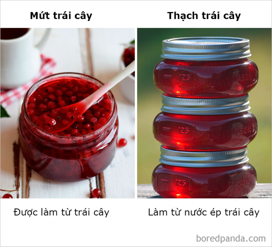 Những điều ngỡ giống nhau nhưng lại khác hoàn toàn mà thiên hạ cứ hay nhầm lẫn Những điều ngỡ giống nhau nhưng lại khác hoàn toàn mà thiên hạ cứ hay nhầm lẫn