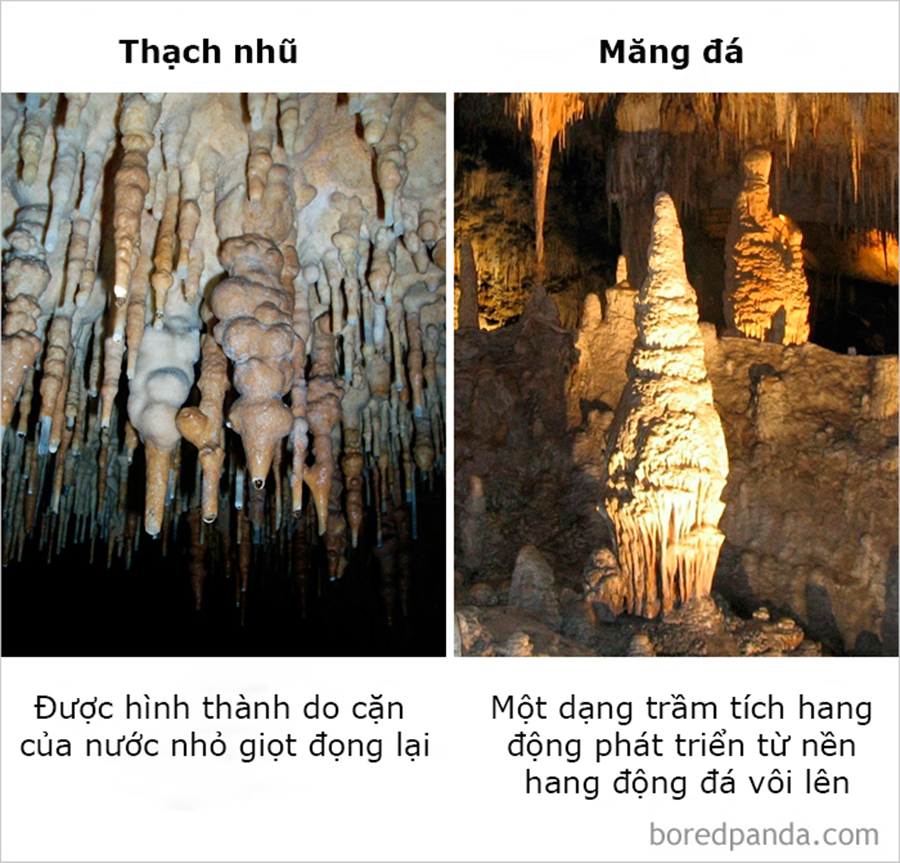Những điều ngỡ giống nhau nhưng lại khác hoàn toàn mà thiên hạ cứ hay nhầm lẫn Những điều ngỡ giống nhau nhưng lại khác hoàn toàn mà thiên hạ cứ hay nhầm lẫn