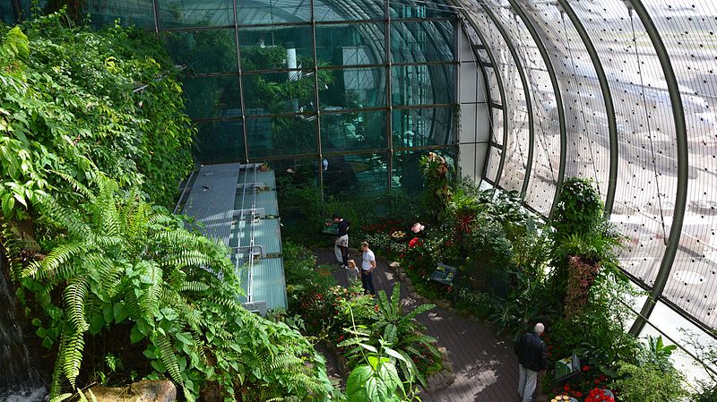 Chuyện chỉ có ở Singapore: Biến sân bay thành điểm du lịch Chuyện chỉ có ở Singapore: Biến sân bay thành điểm du lịch