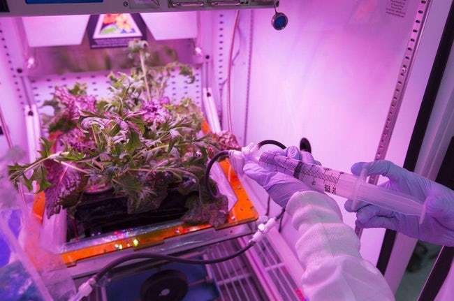 Quá rảnh rỗi, các phi hành gia đã thực hiện 10 thí nghiệm kỳ lạ này trong vũ trụ (P2) Quá rảnh rỗi, các phi hành gia đã thực hiện 10 thí nghiệm kỳ lạ này trong vũ trụ (P2)