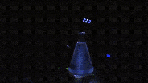 chemical reactions are the most action ive seen in months 1