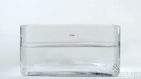 chemical reactions are the most action ive seen in months 11