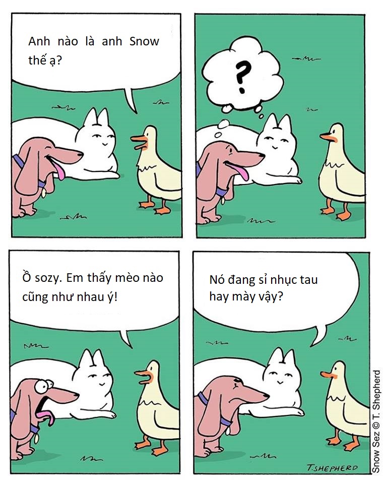 Triết lí sống của chú mèo luôn cười 'đểu': Chuẩn không cần chỉnh, chỉnh là mất chuẩn Triết lí sống của chú mèo luôn cười 'đểu': Chuẩn không cần chỉnh, chỉnh là mất chuẩn