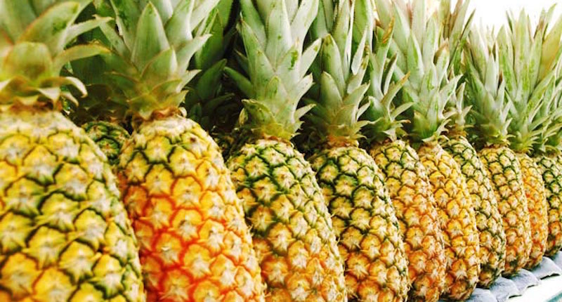 16 chiếc fact thú vị về trái cây mà có thể bạn muốn đọc (hoặc không) 16 chiếc fact thú vị về trái cây mà có thể bạn muốn đọc (hoặc không)