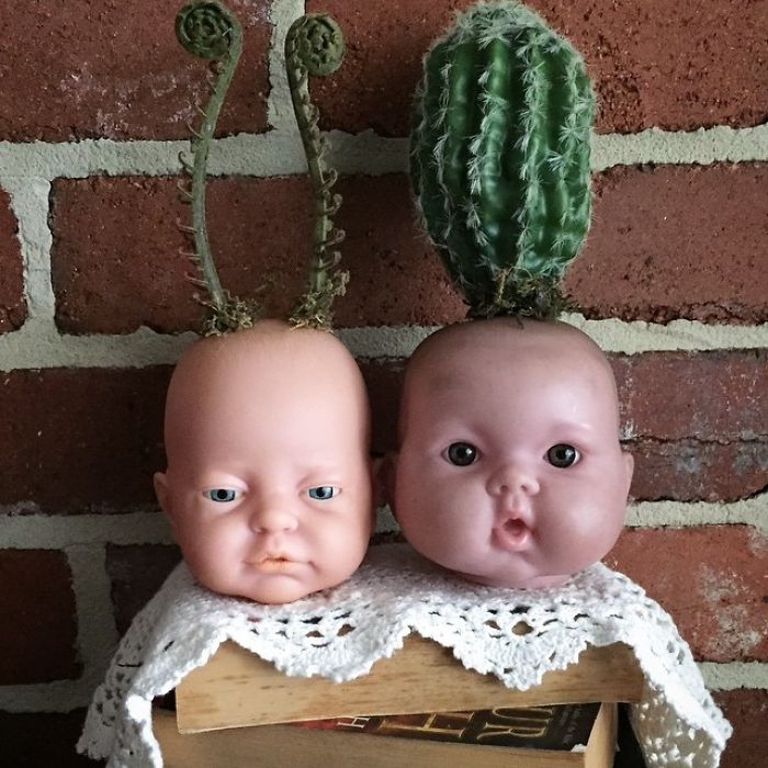 Thú vị trào lưu trồng cây cảnh theo phong cách 'Annabelle' Thú vị trào lưu trồng cây cảnh theo phong cách 'Annabelle'