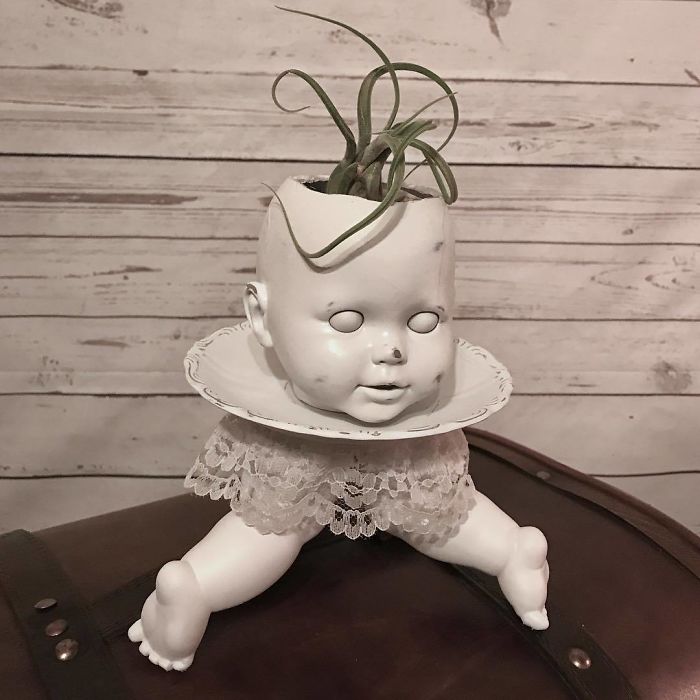 Thú vị trào lưu trồng cây cảnh theo phong cách 'Annabelle' Thú vị trào lưu trồng cây cảnh theo phong cách 'Annabelle'