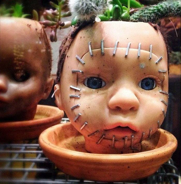 Thú vị trào lưu trồng cây cảnh theo phong cách 'Annabelle' Thú vị trào lưu trồng cây cảnh theo phong cách 'Annabelle'