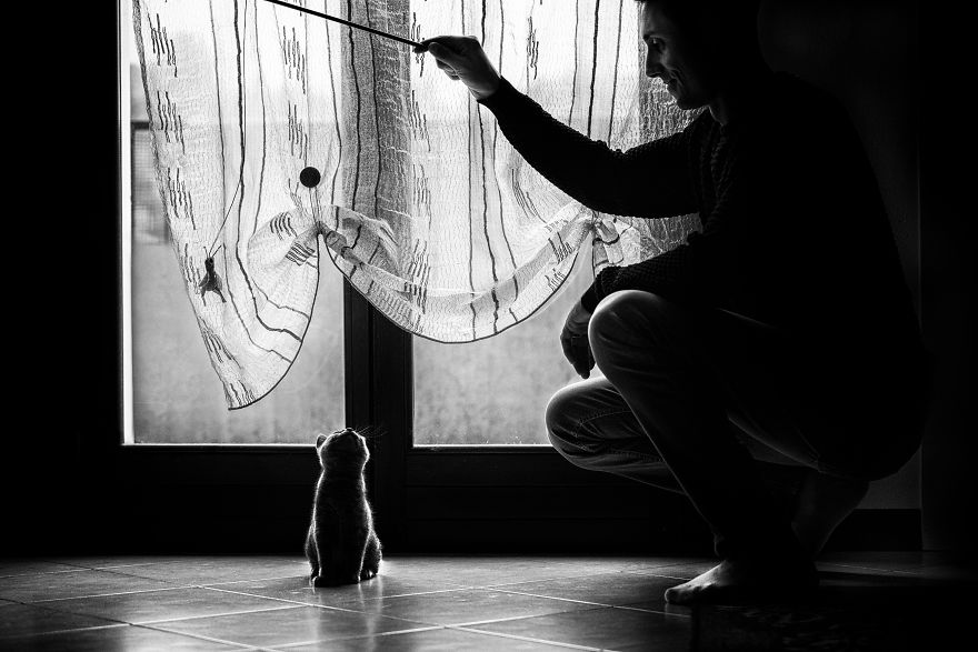 Người đàn ông em yêu có những lúc yếu đuối không ngờ khi ở bên mèo cưng Người đàn ông em yêu có những lúc yếu đuối không ngờ khi ở bên mèo cưng