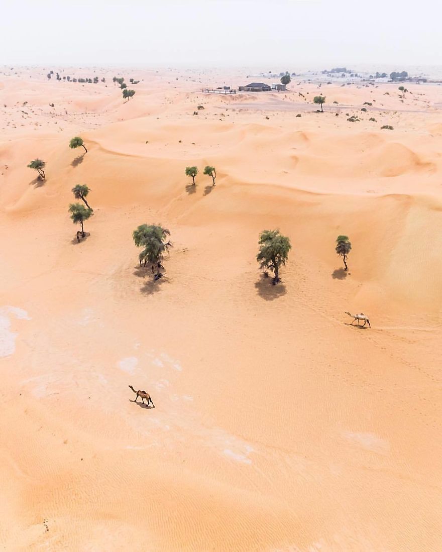 Ngắm loạt ảnh như trong phim khi sa mạc xâm chiếm cao tốc ở Dubai và Abu Dhabi Ngắm loạt ảnh như trong phim khi sa mạc xâm chiếm cao tốc ở Dubai và Abu Dhabi