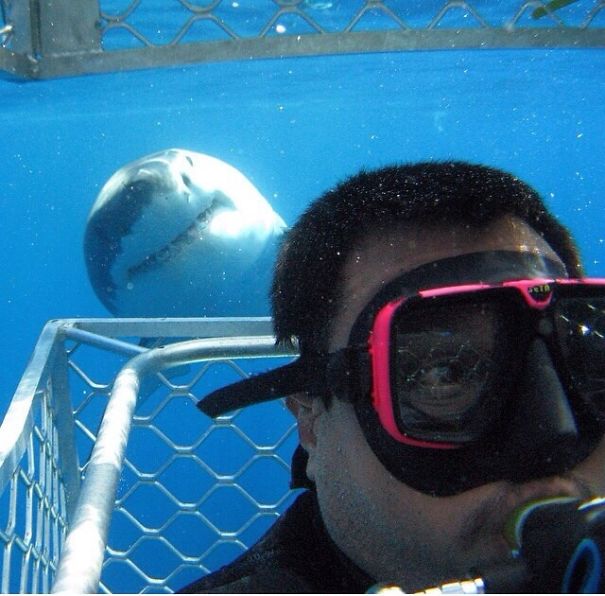 Những khoảnh khắc 'photobomb' đáng yêu hết phần nhân vật chính Những khoảnh khắc 'photobomb' đáng yêu hết phần nhân vật chính