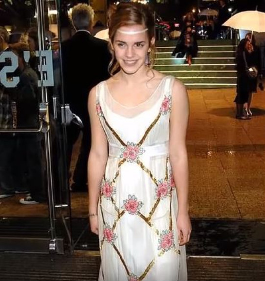 28 năm nhan sắc của 'hoa hồng nước Anh' Emma Watson gói gọn trong những bức ảnh này 28 năm nhan sắc của 'hoa hồng nước Anh' Emma Watson gói gọn trong những bức ảnh này