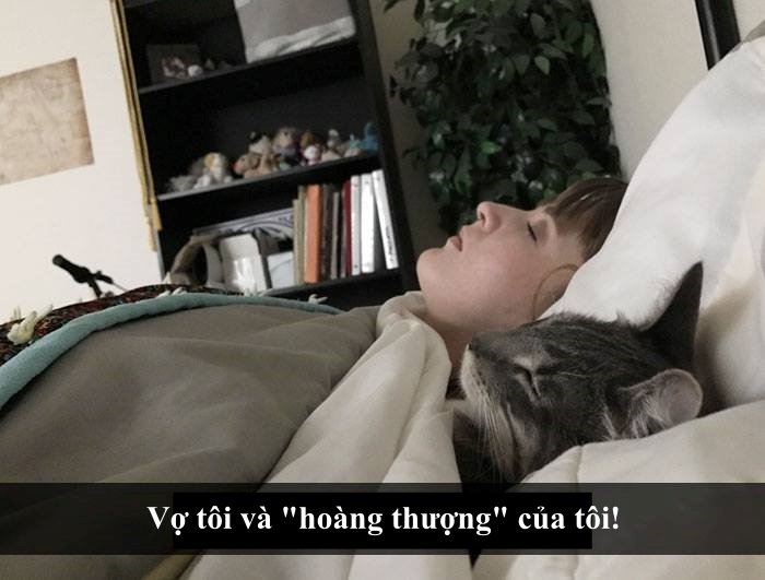 Loài mèo âm mưu thống trị thế giới, bắt đầu từ... Snapchat Loài mèo âm mưu thống trị thế giới, bắt đầu từ... Snapchat