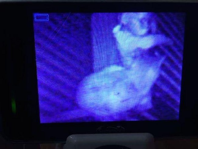 Giật mình khiếp sợ hình ảnh 'creepy' được chụp lại từ camera quan sát phòng ngủ của trẻ Giật mình khiếp sợ hình ảnh 'creepy' được chụp lại từ camera quan sát phòng ngủ của trẻ
