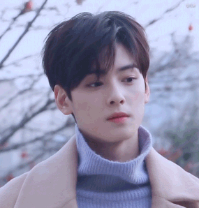 Cha Eun Woo: Ngoại hình và profile hoàn hảo đến mức fans tự hỏi người thế này có thật sự tồn tại? Cha Eun Woo: Ngoại hình và profile hoàn hảo đến mức fans tự hỏi người thế này có thật sự tồn tại?