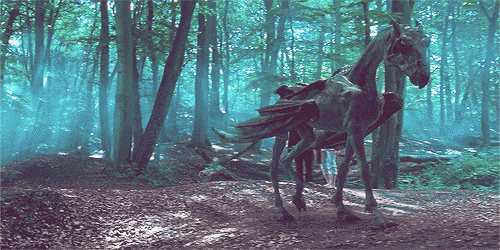 70 sự thật ly kỳ xứng đáng là 'Bách khoa toàn thư' về vũ trụ pháp thuật Harry Potter 70 sự thật ly kỳ xứng đáng là 'Bách khoa toàn thư' về vũ trụ pháp thuật Harry Potter
