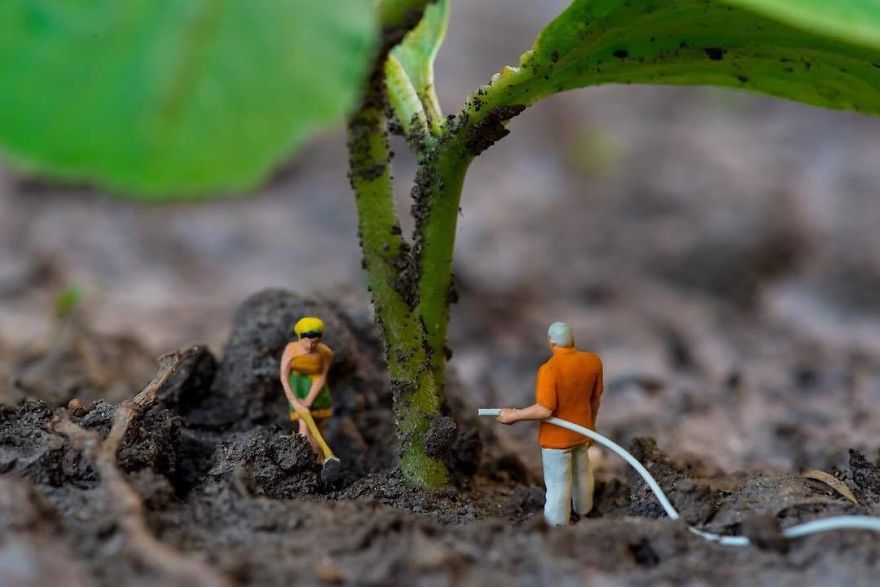 Thế giới bé tí tẹo trong lòng bàn tay nhưng vẫn không kém phần thú vị Thế giới bé tí tẹo trong lòng bàn tay nhưng vẫn không kém phần thú vị