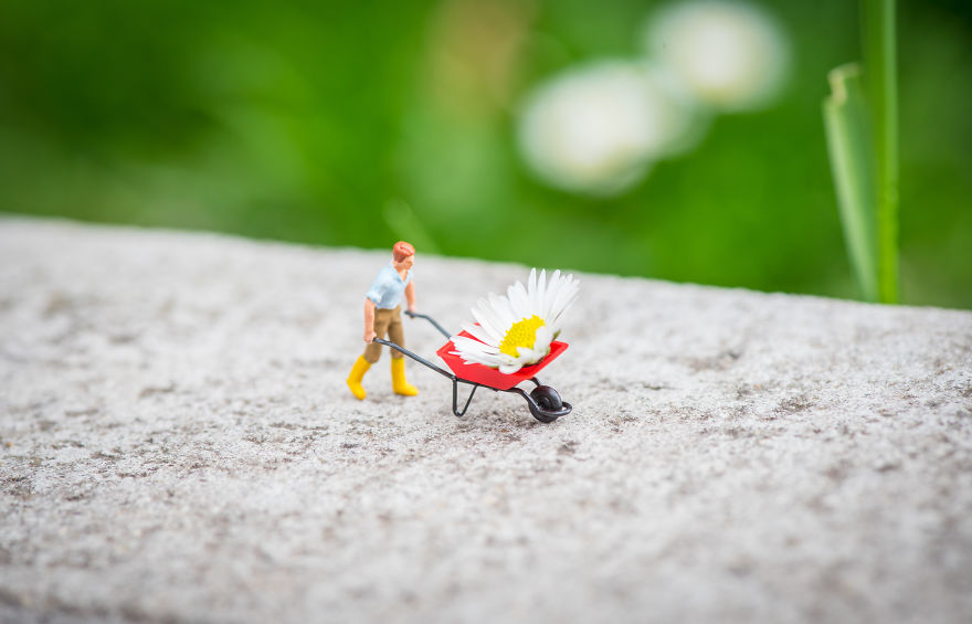 Thế giới bé tí tẹo trong lòng bàn tay nhưng vẫn không kém phần thú vị Thế giới bé tí tẹo trong lòng bàn tay nhưng vẫn không kém phần thú vị