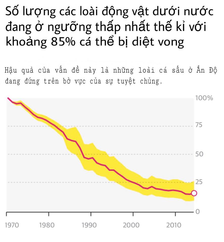 Sự tàn phá khủng khiếp của loài người đã khiến hơn 60% động vật hoang dã đứng trên bờ vực tuyệt chủng Sự tàn phá khủng khiếp của loài người đã khiến hơn 60% động vật hoang dã đứng trên bờ vực tuyệt chủng