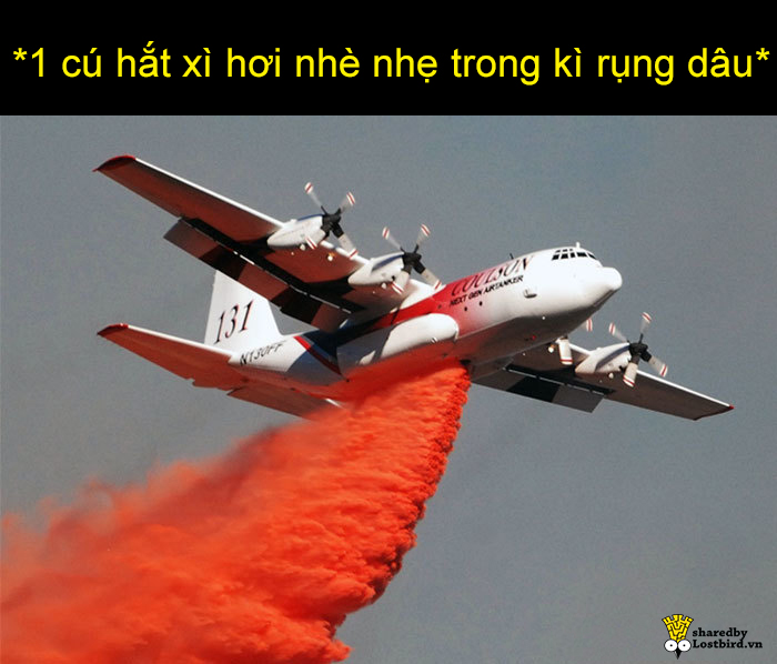 'Bà dì' gõ cửa và trăm ngàn nỗi khổ cười ra nước mắt của hội con gái 'Bà dì' gõ cửa và trăm ngàn nỗi khổ cười ra nước mắt của hội con gái