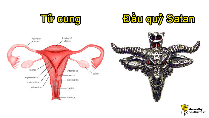 'Bà dì' gõ cửa và trăm ngàn nỗi khổ cười ra nước mắt của hội con gái 'Bà dì' gõ cửa và trăm ngàn nỗi khổ cười ra nước mắt của hội con gái