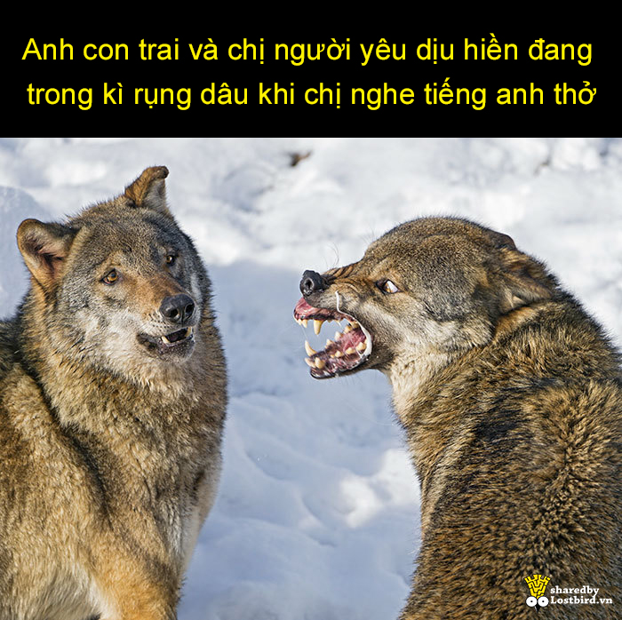 'Bà dì' gõ cửa và trăm ngàn nỗi khổ cười ra nước mắt của hội con gái 'Bà dì' gõ cửa và trăm ngàn nỗi khổ cười ra nước mắt của hội con gái