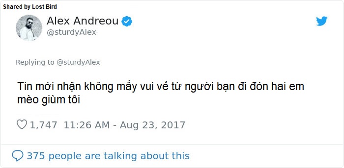 Anh chàng đồng tính bị từ chối cho nhận mèo và hành trình gian nan để tới với các 'boss' Anh chàng đồng tính bị từ chối cho nhận mèo và hành trình gian nan để tới với các 'boss'