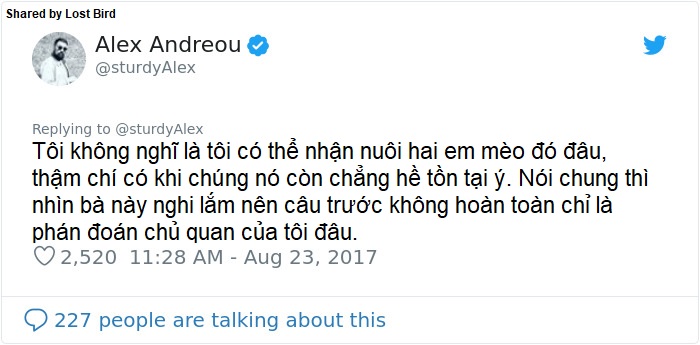 Anh chàng đồng tính bị từ chối cho nhận mèo và hành trình gian nan để tới với các 'boss' Anh chàng đồng tính bị từ chối cho nhận mèo và hành trình gian nan để tới với các 'boss'