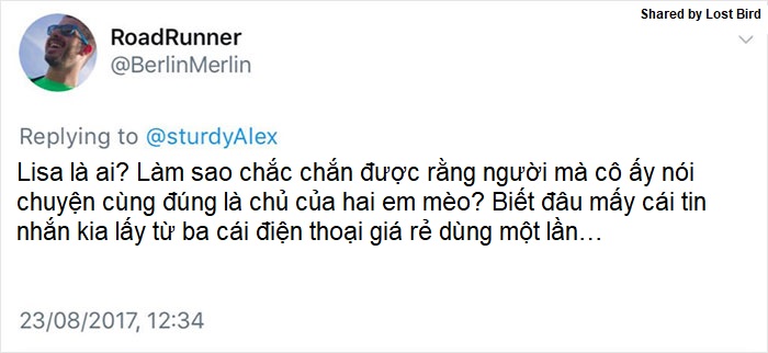 Anh chàng đồng tính bị từ chối cho nhận mèo và hành trình gian nan để tới với các 'boss' Anh chàng đồng tính bị từ chối cho nhận mèo và hành trình gian nan để tới với các 'boss'