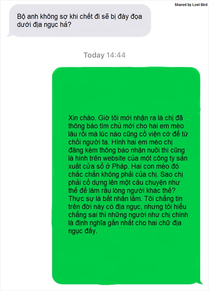 Anh chàng đồng tính bị từ chối cho nhận mèo và hành trình gian nan để tới với các 'boss' Anh chàng đồng tính bị từ chối cho nhận mèo và hành trình gian nan để tới với các 'boss'