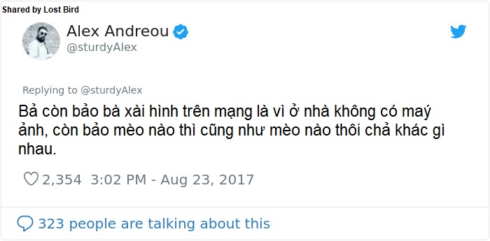 Anh chàng đồng tính bị từ chối cho nhận mèo và hành trình gian nan để tới với các 'boss' Anh chàng đồng tính bị từ chối cho nhận mèo và hành trình gian nan để tới với các 'boss'