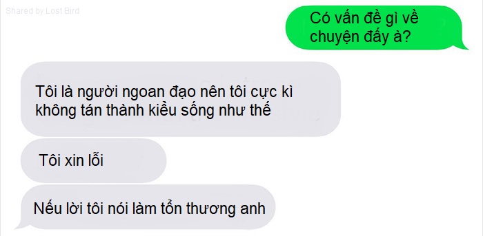 Anh chàng đồng tính bị từ chối cho nhận mèo và hành trình gian nan để tới với các 'boss' Anh chàng đồng tính bị từ chối cho nhận mèo và hành trình gian nan để tới với các 'boss'