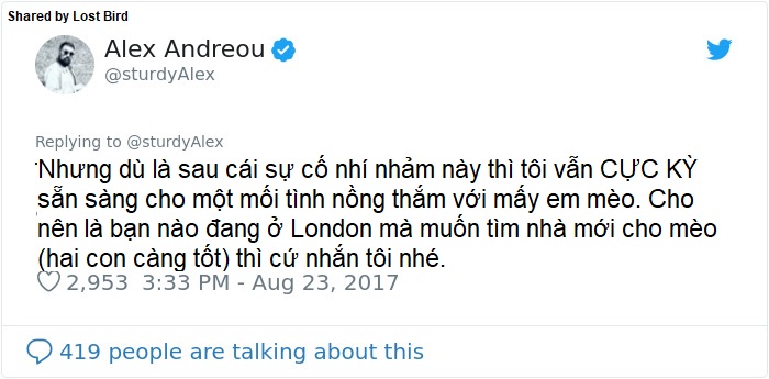 Anh chàng đồng tính bị từ chối cho nhận mèo và hành trình gian nan để tới với các 'boss' Anh chàng đồng tính bị từ chối cho nhận mèo và hành trình gian nan để tới với các 'boss'