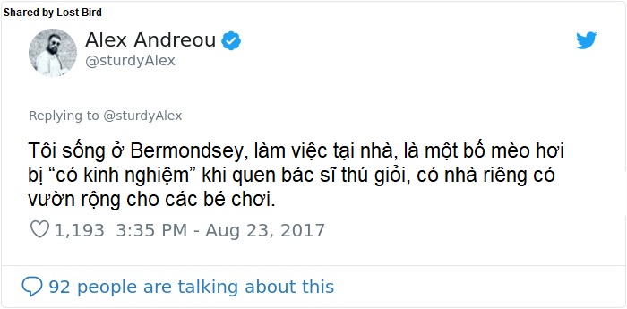 Anh chàng đồng tính bị từ chối cho nhận mèo và hành trình gian nan để tới với các 'boss' Anh chàng đồng tính bị từ chối cho nhận mèo và hành trình gian nan để tới với các 'boss'