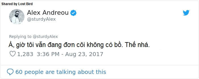 Anh chàng đồng tính bị từ chối cho nhận mèo và hành trình gian nan để tới với các 'boss' Anh chàng đồng tính bị từ chối cho nhận mèo và hành trình gian nan để tới với các 'boss'