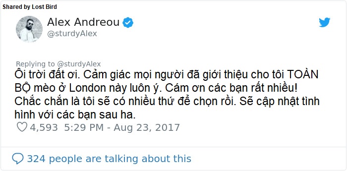 Anh chàng đồng tính bị từ chối cho nhận mèo và hành trình gian nan để tới với các 'boss' Anh chàng đồng tính bị từ chối cho nhận mèo và hành trình gian nan để tới với các 'boss'