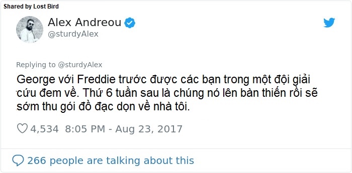 Anh chàng đồng tính bị từ chối cho nhận mèo và hành trình gian nan để tới với các 'boss' Anh chàng đồng tính bị từ chối cho nhận mèo và hành trình gian nan để tới với các 'boss'