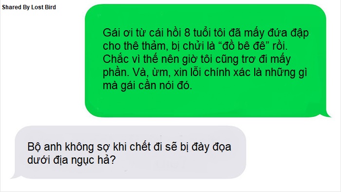 Anh chàng đồng tính bị từ chối cho nhận mèo và hành trình gian nan để tới với các 'boss' Anh chàng đồng tính bị từ chối cho nhận mèo và hành trình gian nan để tới với các 'boss'