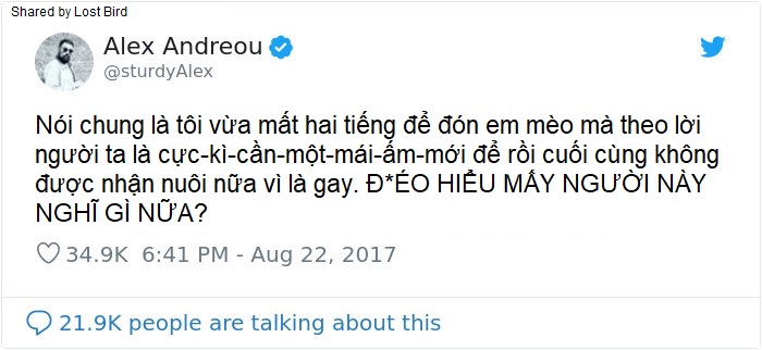 Anh chàng đồng tính bị từ chối cho nhận mèo và hành trình gian nan để tới với các 'boss' Anh chàng đồng tính bị từ chối cho nhận mèo và hành trình gian nan để tới với các 'boss'